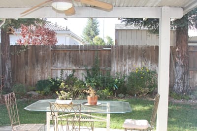 Outdoor seating area with plants and a wooden fence