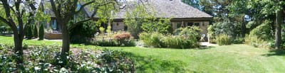 Sunny garden area with trees and flowers