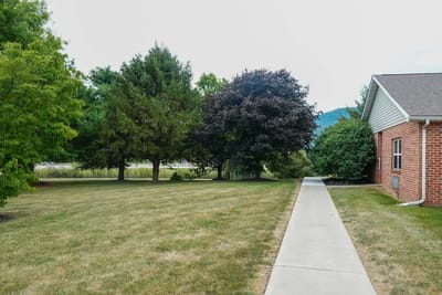 Pathway leading to the facility surrounded by greenery