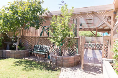 Outdoor garden area with seating and greenery