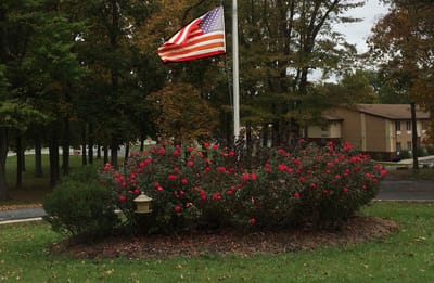 Outdoor flowerbed with an American flag