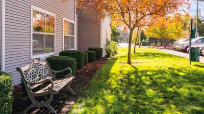 Outdoor seating area with autumn foliage