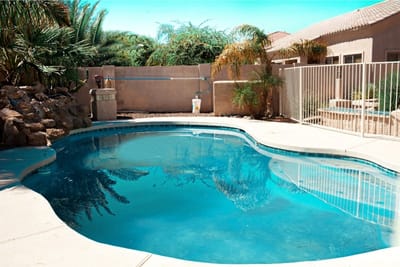 Clear view of a swimming pool surrounded by palm trees