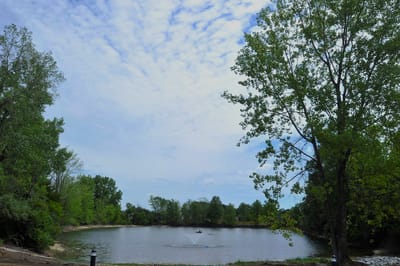 Calm outdoor lake area with trees and fountain