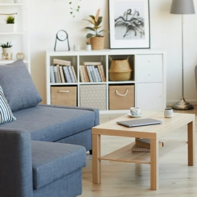 Modern living room with sofa, coffee table, and bookshelves