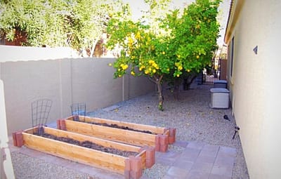 Gardening area with raised beds and a lemon tree