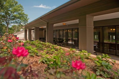 Outdoor space with blooming flowers and seating area