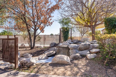 Outdoor garden area with rocks and trees
