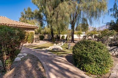 Pathway leading through lush garden area
