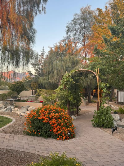 Beautiful garden pathway with orange flowers