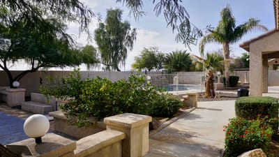 Outdoor garden area with pool and palm trees