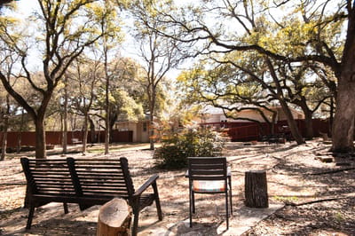 Outdoor seating area in a tranquil garden setting