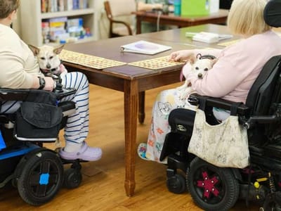 Two residents in wheelchairs with dogs at a table