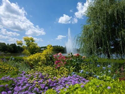 Vibrant flower garden with fountain and lake view