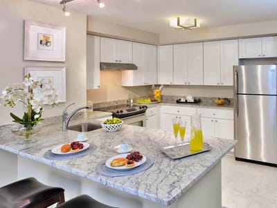 Modern kitchen interior with food and drinks displayed