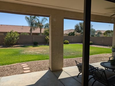 View of the landscaped outdoor area with grass and plants
