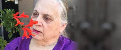 A senior woman interacting with flowers outdoors