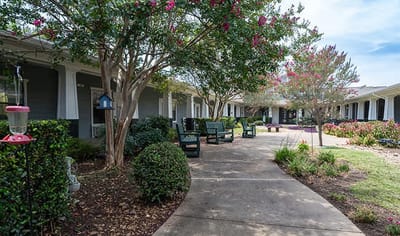 Pathway with seating surrounded by flowering trees