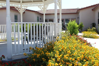 Vibrant flowers near a gazebo in an outdoor area