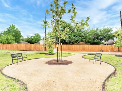Scenic outdoor pathway with benches and trees