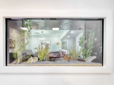 Indoor aquarium in a well-lit common area