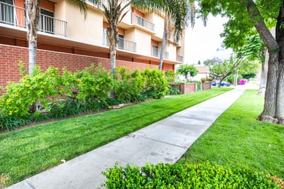 Pathway leading to the facility with greenery and exterior view