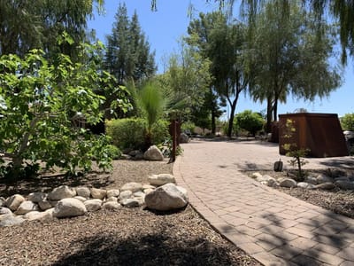 Pathway through a serene garden area