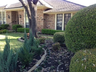 Well-maintained outdoor landscaping with shrubs and grass.