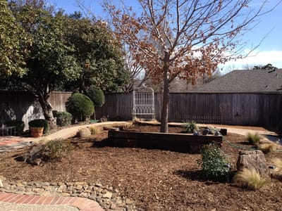 Well-maintained outdoor garden area