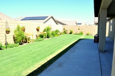Well-maintained outdoor lawn with plants and landscaping.
