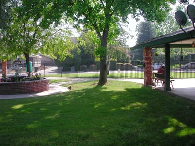 Outdoor space with a tree and a resident sitting on a bench