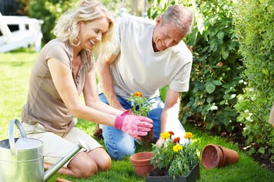 Residents gardening together in a sunny outdoor space