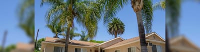Exterior view of a care facility among palm trees.