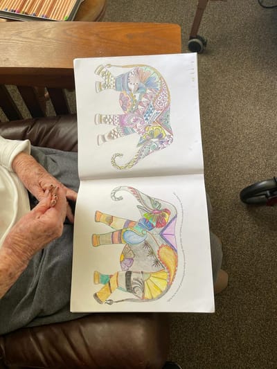 Resident coloring elephants in an activity