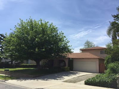 Exterior view of a house with a large tree.