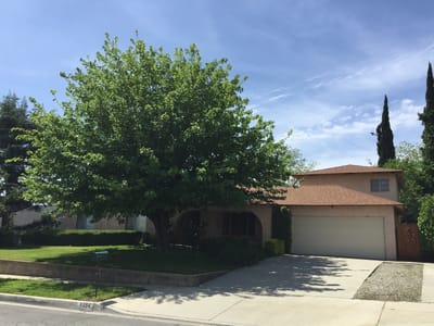 Exterior view of a residential building with a large tree.