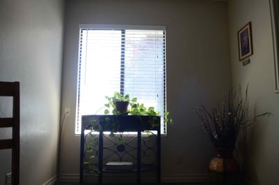 Bright window with plants and decor in a room
