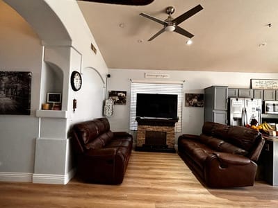 Interior living area with leather sofas