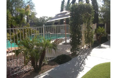 Outdoor pool area with palm trees and umbrella