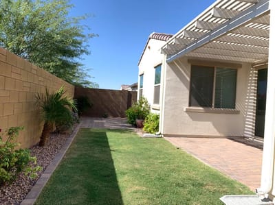 Outdoor garden area with landscaping