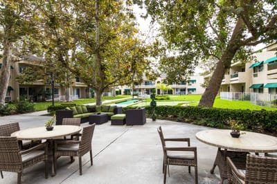 Outdoor seating area surrounded by greenery