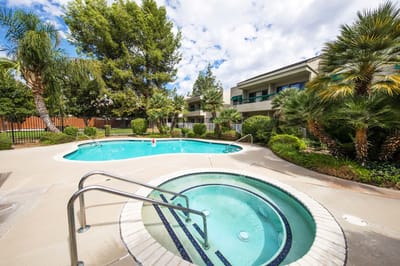 Outdoor pool area with jacuzzi surrounded by palm trees