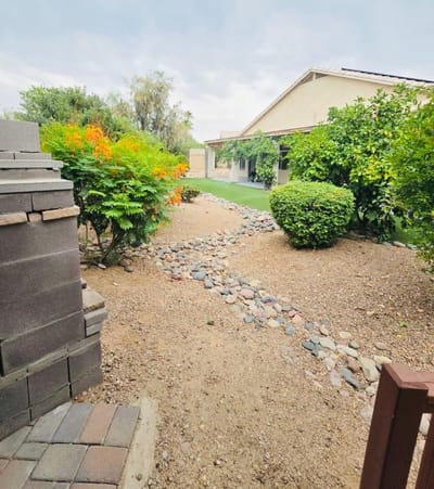 Well-maintained outdoor garden area with shrubs and pathway