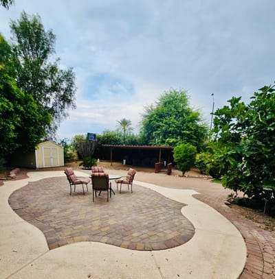 Outdoor seating area with chairs and trees
