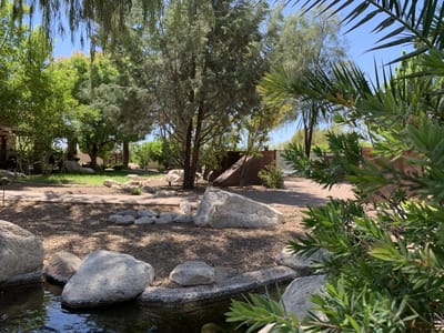 Shaded outdoor space with rocks and vegetation