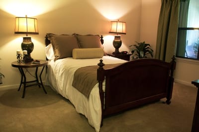 Well-furnished resident room with lamps and plants