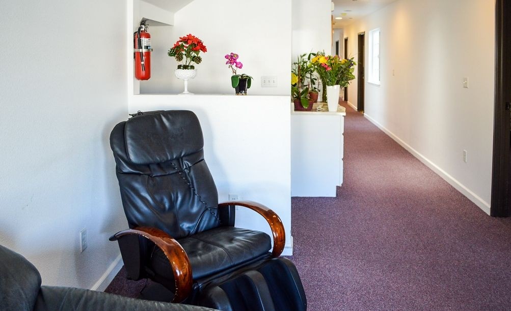 Cozy interior space with armchair and potted plants