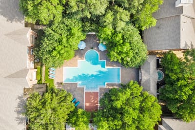 Aerial view of a swimming pool surrounded by trees