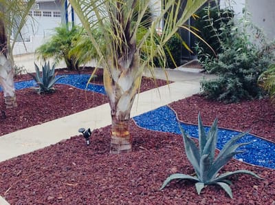 Well-maintained garden with palm trees and blue stones