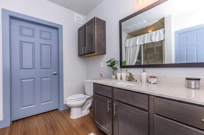 Bright and modern bathroom with a plant